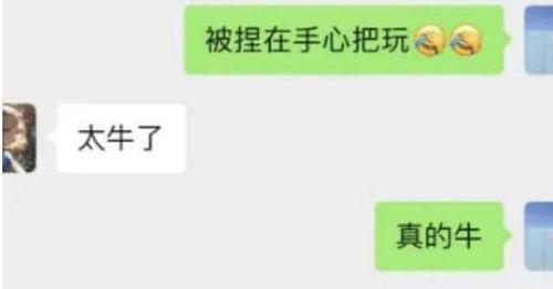 张老师最新爆料消息,最新爆料事件全解析