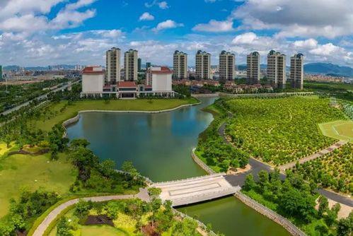 广东惠州最新爆料,揭秘惠州城市新动向与热点事件  第3张